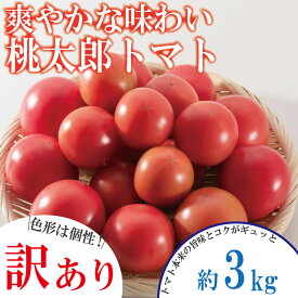 【ふるさと納税】 【訳あり】【選べるお届け月】 トマト 約1~3kg 桃太郎 先行予約 甘い 野菜 やさい 国産 産地直送 数量限定 旬 桃太郎トマト 生野菜 新鮮 ソース 調味料 ケチャップ サラダ 美容 新鮮 健康 お取り寄せ グルメ おすすめ 人気 徳島県 小松島市