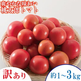 【ふるさと納税】 【選べるお届け月】 トマト 訳あり 約1~3kg 桃太郎 先行予約 甘い 野菜 やさい 国産 産地直送 数量限定 旬 桃太郎トマト 生野菜 新鮮 ソース 調味料 ケチャップ サラダ 美容 新鮮 健康 お取り寄せ グルメ おすすめ 人気 徳島県 小松島市