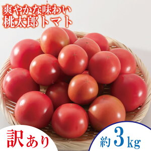 �y�ӂ邳�Ɣ[�Łz �y�󂠂�z�y�I�ׂ邨�͂����z �g�}�g ��1~3kg �����Y ��s�\�� �Â� ��� �₳�� ���Y �Y�n���� ���ʌ��� �{ �����Y�g�}�g ����� �V�N �\�[�X ������ �P�`���b�v �T���_ ��