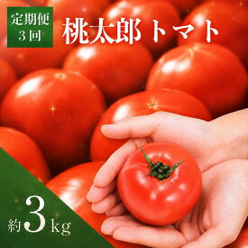 【ふるさと納税】 【2027年先行予約】定期便 3回 トマト 3kg とまと tomato 桃太郎トマト 野菜 果物 やさい 産地直送 農家直送 鮮度 新鮮 栄養 お弁当 サラダ ソース 調味料 ケチャップ サラダ 美容 新鮮 健康 おすすめ 人気 徳島県 小松島市 発送 2027年2月~