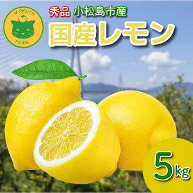 【ふるさと納税】 レモン 2kg～10kg 秀品 2025年10月順次発送 国産 レモン 檸檬 れもん ワックス不使用 防腐剤不使用 柑橘 果汁 フルーツ 果実 徳島 小松島市