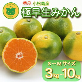 【ふるさと納税】 【2026年10月発送】 みかん 秀品 極早生みかん 3kg 5kg 10kg 選べる 内容量 蜜柑 みかんジュース 早生 柑橘 旬 フルーツ 果実 ジュース 甘い ジューシー デザート 産地直送 極早生 温州 酸味 徳島県 小松島市