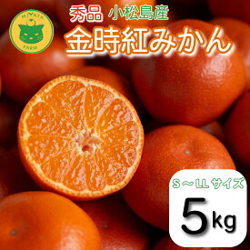 【ふるさと納税】 【2025年12月順次発送】　金時紅みかん 3kg～5kg みかん 甘い 紅 みかん 柑橘 蜜柑 ミカン ジュース 果汁 小松島市 フルーツ 果実