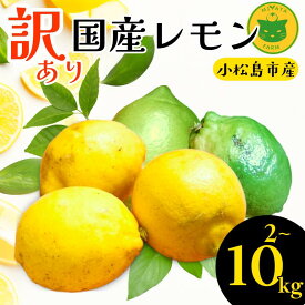 【ふるさと納税】 レモン 2kg～10kg 訳あり 2025年10月順次発送 国産 レモン 檸檬 れもん ワックス不使用 防腐剤不使用 柑橘 果汁 フルーツ 果実 徳島 小松島市