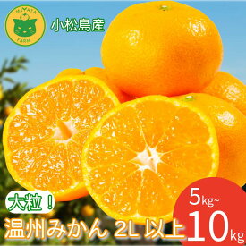 【ふるさと納税】 みかん 大玉 温州みかん 5kg~10kg　2L以上 みかん 蜜柑 ミカン オレンジ フルーツ ふるーつ 果物 くだもの 小松島市