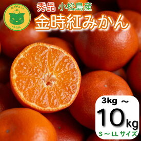 【ふるさと納税】 【2026年12月順次発送】　金時紅みかん 3kg～10kg みかん 甘い 紅 みかん 柑橘 蜜柑 ミカン ジュース 果汁 小松島市 フルーツ 果実