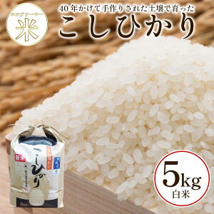 yӂ邳Ɣ[Łz Ђ 5kg Iׂ   ߘa7NY   ɂ ͂ ٓ Mtg  v[g  O ۑ h ~   
