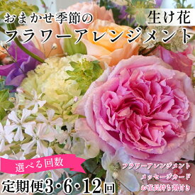 【ふるさと納税】 花 季節の 花束 フラワーアレンジメント 定期便 3回 6回 12回 オリジナル手作りカード付 生花 こだわりギフト プレゼント 母の日 父の日 敬老の日 花束 フラワーガーデン ミモザ 花 ※北海道・東北・沖縄を含む離島への配送不可 フラワーガーデンミモザ