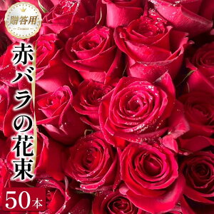 【ふるさと納税】 生花 赤バラ の 花束 12本 50本 バラ 薔薇 花束 ローズ フラワー ブーケ プレゼント 贈り物 ギフト 生け花 雑貨 インテリア 人気 記念日 誕生日 フラワーガーデンミモザ 徳島