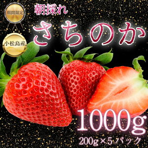 �y�ӂ邳�Ɣ[�Łz �y2026�N2�����{���������z�@�����̂� ������ 1kg~1.6kg � �C�`�S �X�g���x���[ strawberry �t���[�c �ʕ� �{ ���ʌ��� ���Ԍ��� �Y�n���� ichigo �������s