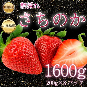yӂ邳Ɣ[Łz y2026N2{z@̂  1kg~1.6kg  C`S Xgx[ strawberry t[c ʕ { ʌ Ԍ Yn ichigo s