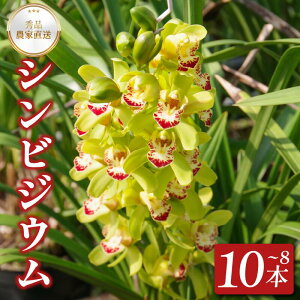 yӂ邳Ɣ[Łz VrWE 8`10{    VrW[ Gi