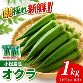 【ふるさと納税】 【6月下旬から発送】オクラ 500g/1kg 新鮮 朝採れ 選べる 容量 小分け おくら 朝どれ 野菜 夏 夏野菜 旬 サラダ 冷蔵 農地直送 国産 小松島市