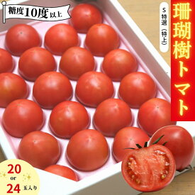 【ふるさと納税】 【先行予約】 フルーツ トマト 1kg Sサイズ 20個 - 24個 糖度 10以上 冷蔵 珊瑚樹 野菜 ギフト プレゼント 贈答 ※2024年春発送＜3月中旬〜5月末発送＞