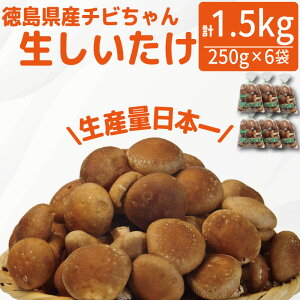 yӂ邳Ɣ[Łz   1.5kg 250g×6 Y Y ̂  ۏő ۏ͔| ێ ő   Yn r^~D H@ OAj_ J[ N _CGbg 