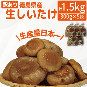 yӂ邳Ɣ[Łz 󂠂   1.5kg 300g×5 Y Y ̂  ۏő ۏ͔| ێ ő   Yn r^~D H@ OAj_ J[ N _CG