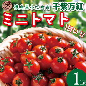 【ふるさと納税】 【選べるお届け月】 ミニトマト 1kg 2kg 千紫万紅 先行予約 水耕栽培 爽やか 甘い 野菜 やさい 国産 産地直送 数量限定 旬 フレッシュトマト 生野菜 新鮮 ソース 調味料 ケチャップ サラダ 美容 新鮮 健康 グルメ 1万円以下 10000円以下 徳島県 小松島市