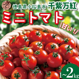 【ふるさと納税】 【選べるお届け月】 ミニトマト 1kg 2kg 千紫万紅 先行予約 水耕栽培 爽やか 甘い 野菜 やさい 国産 産地直送 数量限定 旬 フレッシュトマト 生野菜 新鮮 ソース 調味料 ケチャップ サラダ 美容 新鮮 健康 グルメ 1万円以下 10000円以下 徳島県 小松島市
