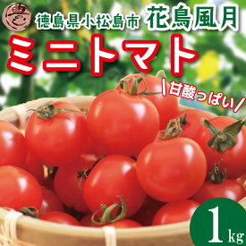 【ふるさと納税】 【選べるお届け月】 ミニトマト 1kg 2kg 花鳥風月 先行予約 水耕栽培 爽やか 甘い 野菜 やさい 国産 産地直送 数量限定 旬 フレッシュトマト 生野菜 新鮮 ソース 調味料 ケチャップ サラダ 美容 新鮮 健康 グルメ 1万円以下 10000円以下 徳島県 小松島市