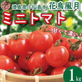 【ふるさと納税】 【選べるお届け月】 ミニトマト 1kg 2kg 花鳥風月 先行予約 水耕栽培 爽やか 甘い 野菜 やさい 国産 産地直送 数量限定 旬 フレッシュトマト 生野菜 新鮮 ソース 調味料 ケチャップ サラダ 美容 新鮮 健康 グルメ 1万円以下 10000円以下 徳島県 小松島市