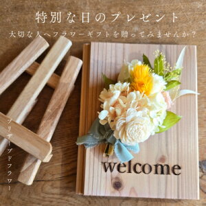 yӂ邳Ɣ[ŁzyEFJ{[h₲pɍœK!vU[uht[zy1558005z