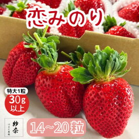 【ふるさと納税】先行予約《特大14～20粒 》紗奈～はまだ農園　『恋みのり』大粒いちご　1粒30g以上【配送不可地域：離島・北海道・沖縄県】【1601788】