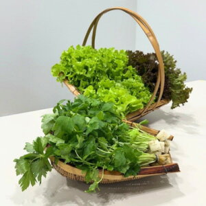 yӂ邳Ɣ[ŁzVNႫႫ^XƍOtZbgyzsnFEkCEꌧzy1675683z