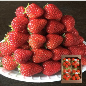 �y�ӂ邳�Ɣ[�Łz�s300g×4�p�b�N�t�����p������1200g�@2�i��ȏ����܂��B�y�z���s�n��F�����E�k�C���E���ꌧ�z�y1686323�z