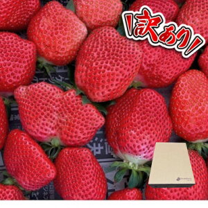 �y�ӂ邳�Ɣ[�Łz�y�󂠂�z�s300g×4�p�b�N�t�K�i�O������1200g�@2��ȏ����܂��B�y�z���s�n��F�����E�k�C���E���ꌧ�z�y1686327�z