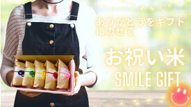 【ふるさと納税】 米 アキサカリ 2合×5袋 お祝米 水引 贈答用 ギフト プレゼント 食品 食べきりサイズ 誕生日 お祝い 入学祝い 退職祝い 内祝い プチギフト 記念日 縁起物 結婚 出産 感謝 和風 川島えがお倶楽部のお祝米