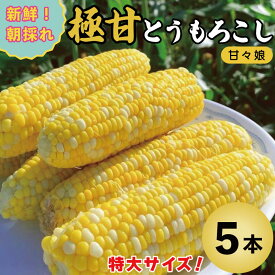 【ふるさと納税】 甘々娘 5本 2kg / 10本 4kg とうもろこし 先行予約 2026年6月発送分 選べる容量 スイートコーン 甘い かんかんむすめ トウモロコシ 甘い 期間限定 夏 旬 野菜 鍋 炒め物 煮物 スープ 弁当 惣菜 おかず 健康 新鮮 国産 送料無料 吉野川市 徳島県