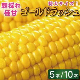 【ふるさと納税】 とうもろこし スイートコーン ゴールドラッシュ 選べる 5本 2kg / 10本 4kg トウモロコシ コーン 甘い 先行予約 期間限定 夏 旬 野菜 鍋 炒め物 煮物 スープ 弁当 惣菜 おかず 健康 新鮮 国産 送料無料 吉野川市 徳島県