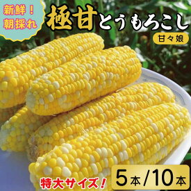 【ふるさと納税】 甘々娘 とうもろこし スイートコーン 選べる 5本 2kg / 10本 4kg 先行予約 かんかんむすめ トウモロコシ 甘い 期間限定 夏 旬 野菜 鍋 炒め物 煮物 スープ 弁当 惣菜 おかず 健康 新鮮 国産 送料無料 吉野川市 徳島県