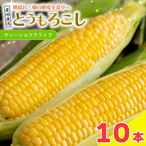 yӂ邳Ɣ[Łz Ƃ낱 Tj[VRC Iׂ 5{ 2kg / 10{ 4kg s\ gERV R[ XC[gR[ Â Ƃ낱 Ԍ  {   uߕ ϕ X