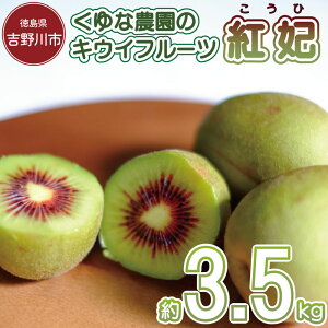 yӂ邳Ɣ[Łz 󂠂 LECt[c 1.2`3.6kg g LEC̏ P s\ C{[bh x 20x Â e r^~ N Y ʕ XC[c P[L [[ W[X ACX 