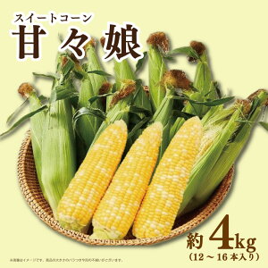 �y�ӂ邳�Ɣ[�Łz�Ƃ����낱�� �ÁX�� 4kg / �T�j�[�V���R�����C�� 5kg / �① �I�ׂ�i�� �X�C�[�g�R�[�� �g�E�����R�V �Ɋ� ���x �R�[�� ��� �₳�� �T���_ �X�[�v �R�[���X�[�v BBQ �Ă��� 