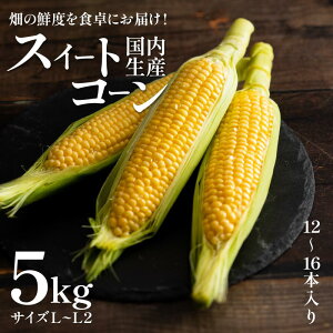 yӂ邳Ɣ[Łz Ƃ낱 Iׂ XC[gR[ Tj[VRC 5kg ÁX 4kg Ɋ x R[  ₳ T_ X[v R[X[v BBQ AEghA { ̂ r^~ 