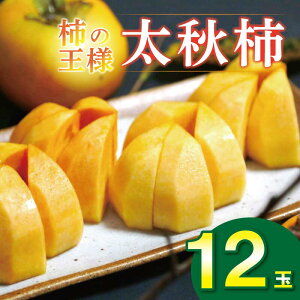 yӂ邳Ɣ[Łz H` 12ʓ 4`4.8 kg Ê` JL U ` 2025N10{`\ Â x t[c { ʕ  fU[g XC[c P[L ACX V[xbg [[ W