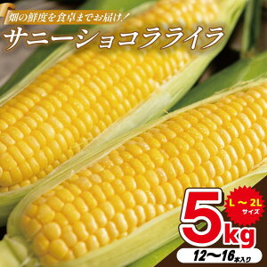 yӂ邳Ɣ[Łz Ƃ낱 XC[gR[ Iׂ i e Tj[VRC 5kg ÁX 4kg gERV Ɋ x R[  ₳ T_ X[v R[X[v BBQ { ̂ 