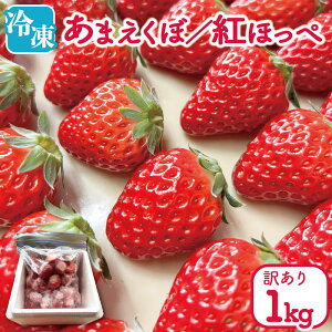 yӂ邳Ɣ[Łz 󂠂  Ⓚ gق ܂ 500g / 1kg Iׂ e Ⓚ lC ʕ t[c Ⓚt[c t[Y X[W[ VN { ~ t P[L fU[g Mtg 