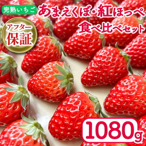 yӂ邳Ɣ[Łz  gق ܂ Iׂ i e 540g / 1080g ( 2pbN / 4pbN ) At^[ۏ Iׂ  2025N 1` / 3` Ԍ lC t P[L fU[g Mtg 