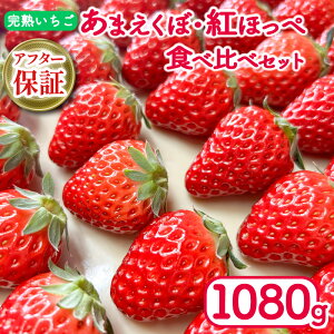 yӂ邳Ɣ[Łz  gق ܂ Iׂ i e 540g 1080g 2pbN 4pbN At^[ۏ Iׂ  2026N 1` / 3` Ԍ lC t P[L fU[g Mtg 蕨 