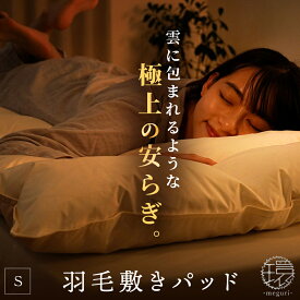 【ふるさと納税】 羽毛 ダウン 敷きパッド シングル 1枚 冬 冬用 軽量 保温 あったか 寝具 敷布団 敷き布団 快眠 グッズ 敷パッド 立体 キルト 厚手 軽い 温かい 吸湿 放湿 アイボリー リサイクルダウン 新生活 一人暮らし 仕送り 徳島県