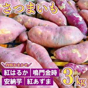 yӂ邳Ɣ[Łz ܂  3kg ܂ g͂邩  g [ 2025N11{`\  Tc}C ܈ Ă ₫   C   fU[g 