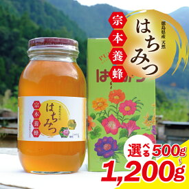 【ふるさと納税】 はちみつ 国産 選べる 容量 500g 〜 1.2kg 天然 完熟 蜂蜜 健康 無添加 栄養豊富 生はちみつ ハチミツ 化粧箱入 ギフト 贈答 人気 ヨーグルト パン ハニー メープル ケーキ アイス 調味料 美容 常温保存 保存食 備蓄 防災 送料無料 徳島県 吉野川市