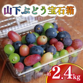 【ふるさと納税】 ぶどう 2.4kg 600g 4パック 詰め合わせ 食べ比べ シャインマスカット 瀬戸ジャイアンツ ピオーネ ニューベリーA 紫玉 巨峰 BKシードレス ハニーシードレス 雄宝 サニードルチェ クィーンニーナ 人気 贈答 山下ぶどう宝石箱 徳島 吉野川市 2026年8月発送予定