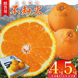 【ふるさと納税】 不知火 約4kg から 約5kg （L玉18個 または 2L玉 12個）【 2026年3月発送予定 】 贈答用 しらぬい 柑橘 みかん オレンジ フルーツ 果物 甘い スイーツ ギフト 送料無料 徳島県 吉野川市 山下農園