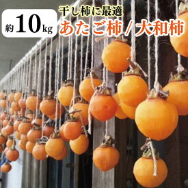 【ふるさと納税】 柿 あたご柿 10kg 愛宕柿 家庭用 干し柿 レシピ付き 先行予約 2026年11月上旬〜発送予定 果物 フルーツ デザート ケーキ ゼリー ジュース アイス ジャム 甘い カキ お菓子 旬 干柿 ほしがき お取り寄せ 徳島県 吉野川市
