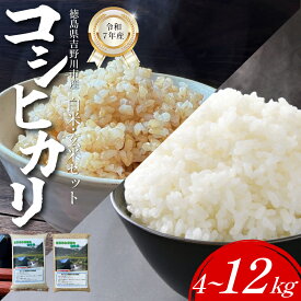 【ふるさと納税】 米 4kg から 12kg コシヒカリ 令和7年産 白米 玄米 選べる こしひかり 1袋2kg 小分け パック 4kg 8kg 12kg 4キロ 8キロ 12キロ お米 こめ 米 ふるさと納税 棚田米 白米 精米 ごはん ご飯 白飯 ゴハン 徳島県 吉野川市