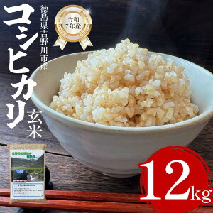 【ふるさと納税】 米 コシヒカリ 令和7年産 新米予約 白米 玄米 選べる 4kg から 12kg コシヒカリ 1袋2kg 小分け お米 こめ 棚田米 白米 精米 ごはん ご飯 白飯 ゴハン 徳島県 吉野川市